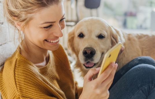 seguros-sura-6-cuidados-basicos-que-debes-tener-con-tu-mascota-imagen