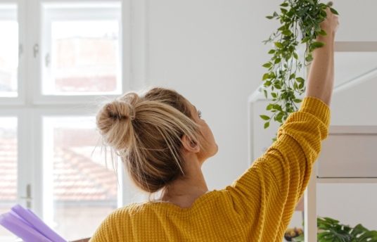 seguros-sura-como-decorar-tu-casa-con-elementos-naturales-imagen