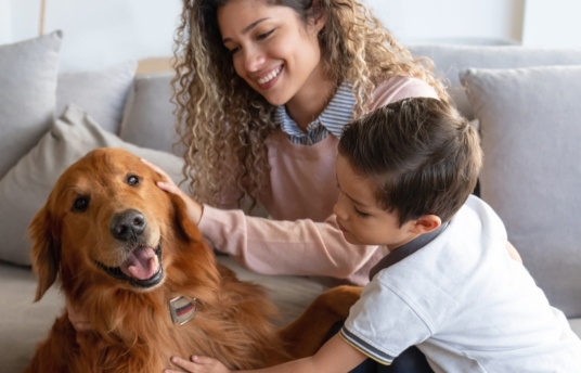 seguros-sura-7-cuidados-que-debes-tener-con-las-mascotas-y-los-niños-imagen