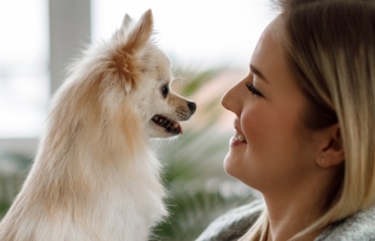 seguros-sura-riesgos-de-ver-a-tu-mascota-como-un-hijo-imagen