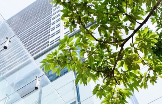 seguros-sura-sura-promueve-construcciones-amables-con-el-medio-ambiente-imagen