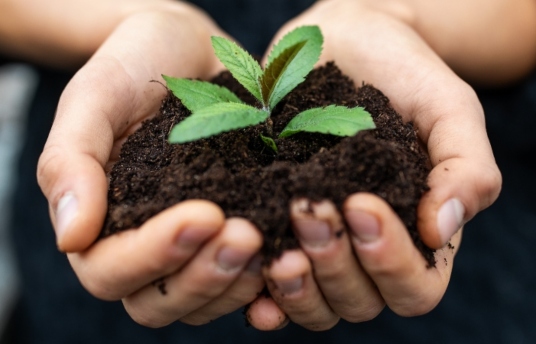 seguros-sura-4-consejos-para-aportar-a-la-preservacion-del-planeta-imagen