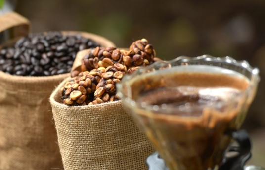 seguros-sura-identifica-prepara-y-disfruta-un-buen-cafe-especial-imagen