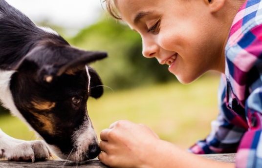 seguros-sura-pensando-en-regalarles-mascotas-a-tus-niños-imagen