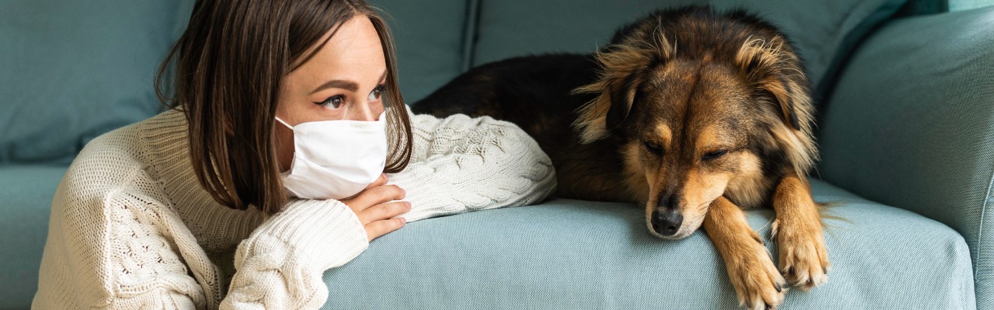 recomendaciones para que la pólvora no afecte tu mascota