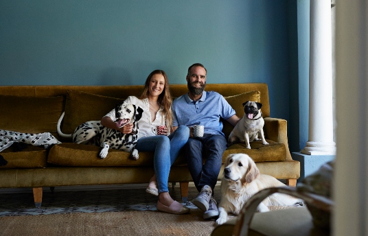 seguros-sura-tener-mascotas-en-vez-de-hijos