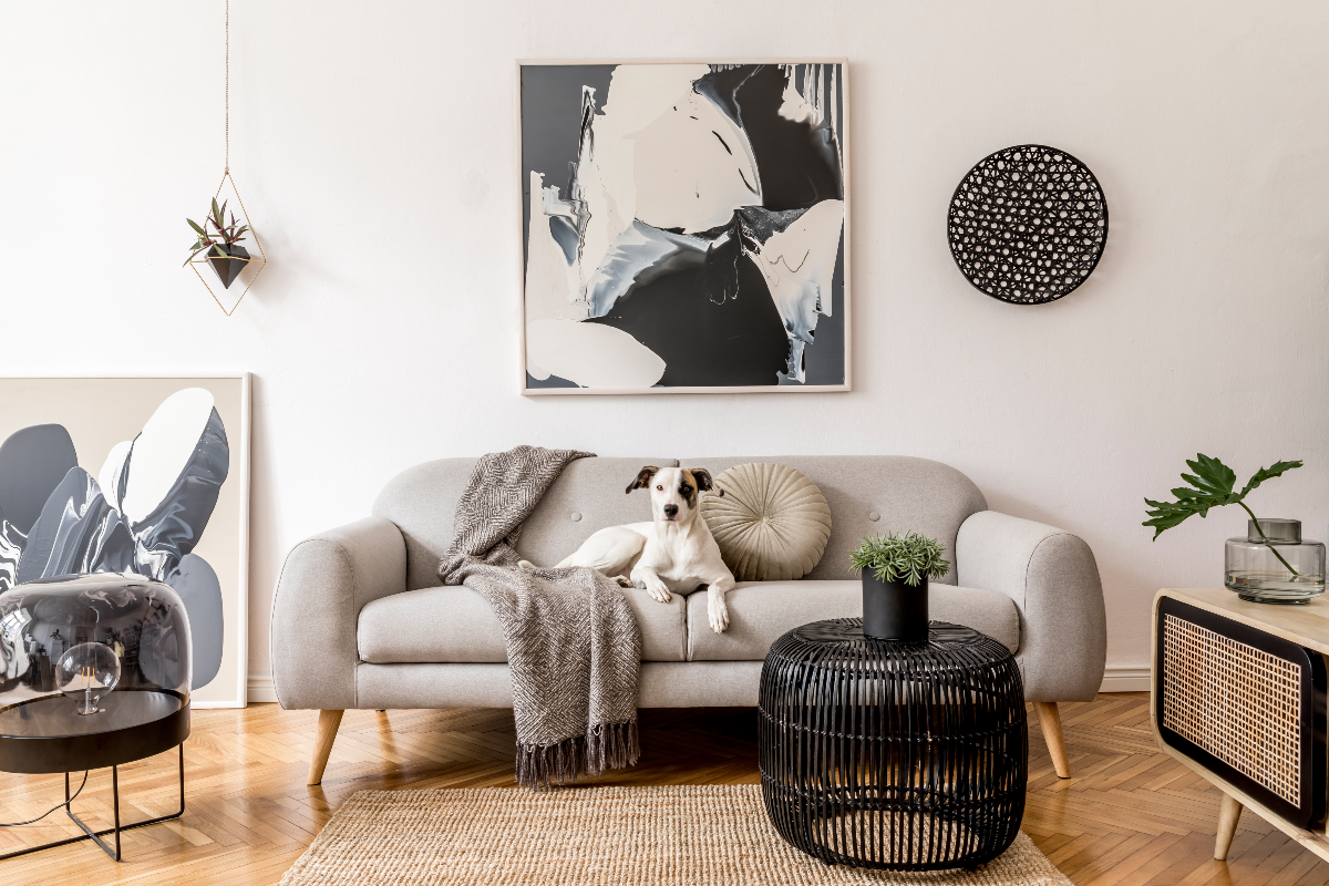 Espacio de la sala con perro en el mueble
